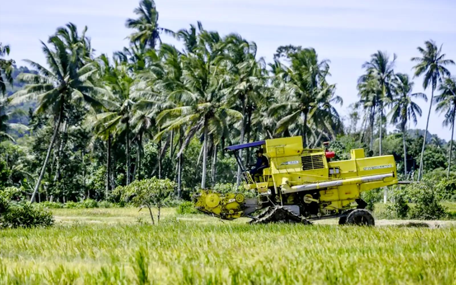 mesin padi